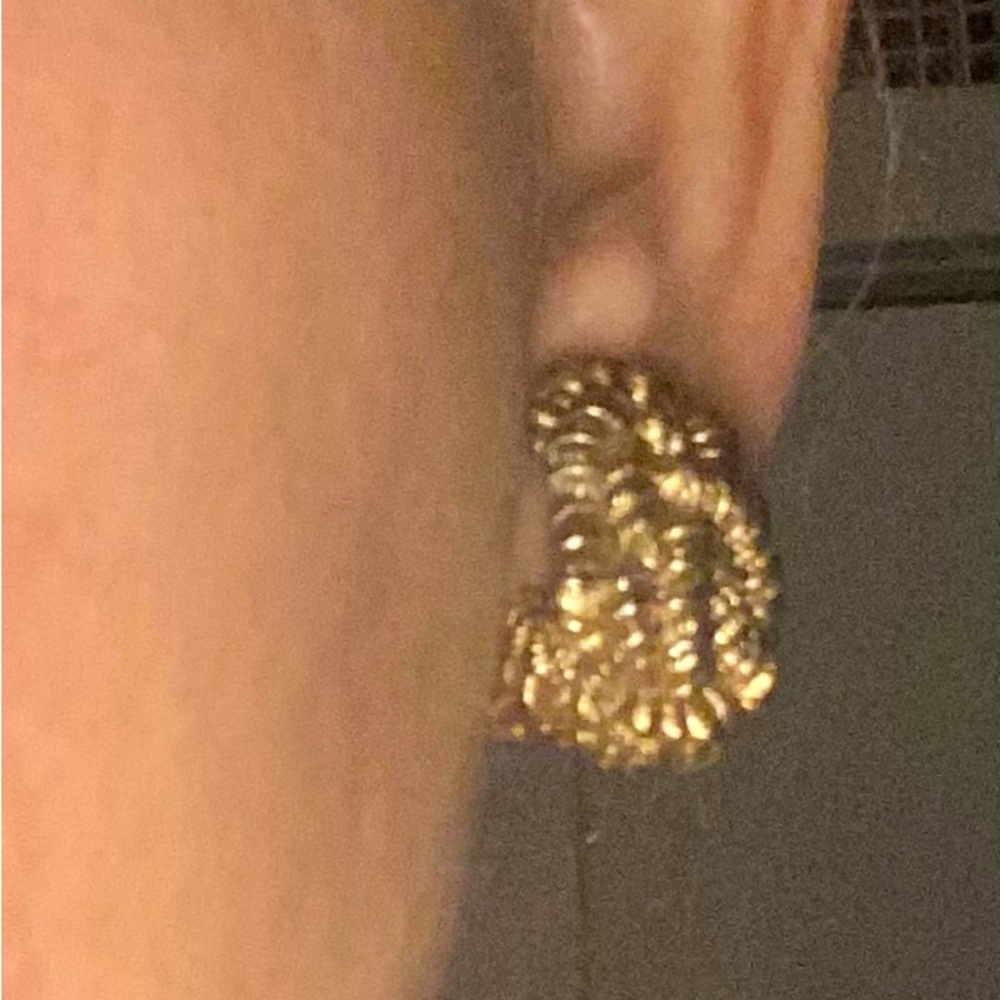 Rich Gold Plated Chic Clasp On Earrings